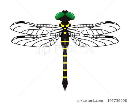 Onyanma's illustration_Hajiro 105739908