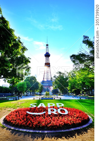 北海道札幌市大通公園和札幌電視塔 105739920