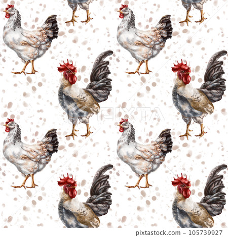 Seamless pattern of their farm chickens and roosters. Simple rural life, farm animals, nature and plants. Poultry on the ranch. Digital illustration, background Seamless pattern of their farm chickens and roosters. Simple rural life, farm animals, nature and plants. Poultry on the ranch. Digital illustration, background 105739927