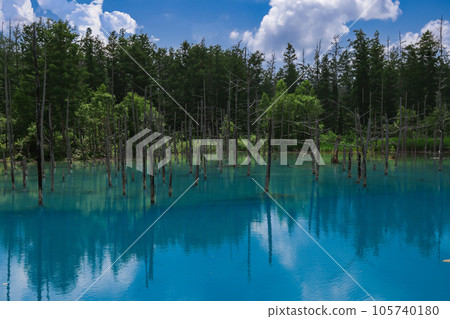 Biei's Blue Pond 105740180