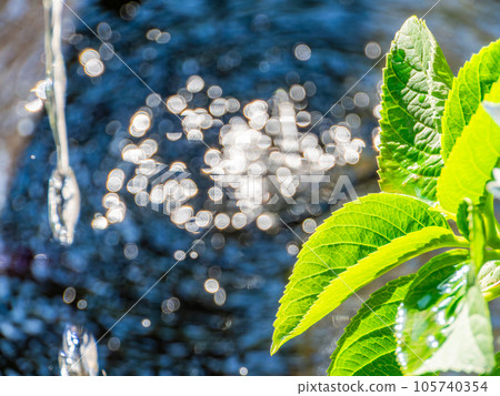 Cool summer scenery Cool water droplets creating ripples in a water bowl Background material Cool summer scenery Cool water droplets creating ripples in a water bowl Background material 105740354