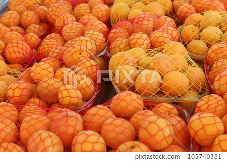 Vegetables and fruits are sold at the city bazaar in Israel. Vegetables and fruits are sold at the city bazaar in Israel. 105740381