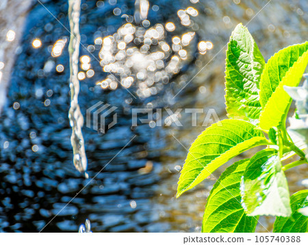 Cool summer scenery Cool water droplets creating ripples in a water bowl Background material Cool summer scenery Cool water droplets creating ripples in a water bowl Background material 105740388