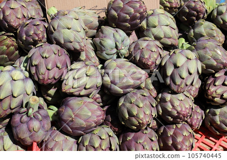 Vegetables and fruits are sold at the city bazaar in Israel. Vegetables and fruits are sold at the city bazaar in Israel. 105740445