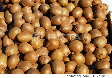 Vegetables and fruits are sold at the city bazaar in Israel. Vegetables and fruits are sold at the city bazaar in Israel. 105740462