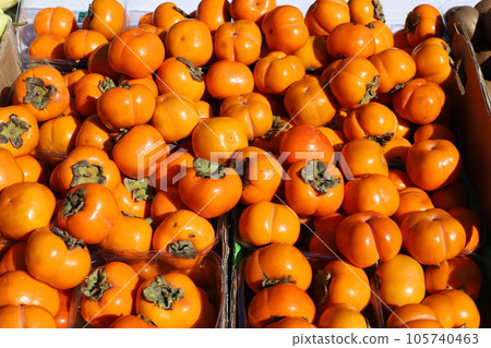 Vegetables and fruits are sold at the city bazaar in Israel. Vegetables and fruits are sold at the city bazaar in Israel. 105740463