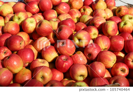 Vegetables and fruits are sold at the city bazaar in Israel. Vegetables and fruits are sold at the city bazaar in Israel. 105740464