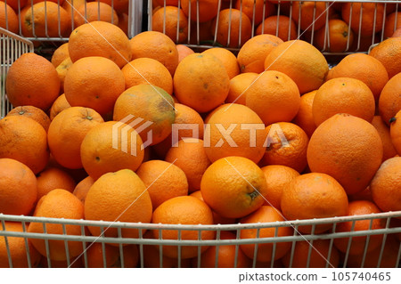 Vegetables and fruits are sold at the city bazaar in Israel. Vegetables and fruits are sold at the city bazaar in Israel. 105740465