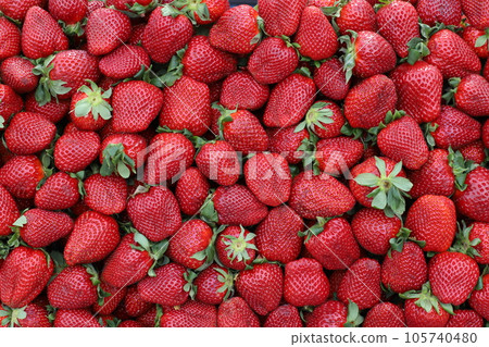 Vegetables and fruits are sold at the city bazaar in Israel. Vegetables and fruits are sold at the city bazaar in Israel. 105740480