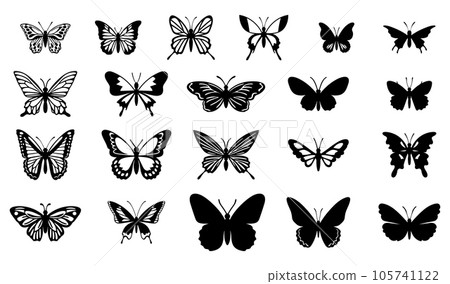 Collection of Butterfly Silhouettes, Vector Illustration Collection of Butterfly Silhouettes, Vector Illustration 105741122