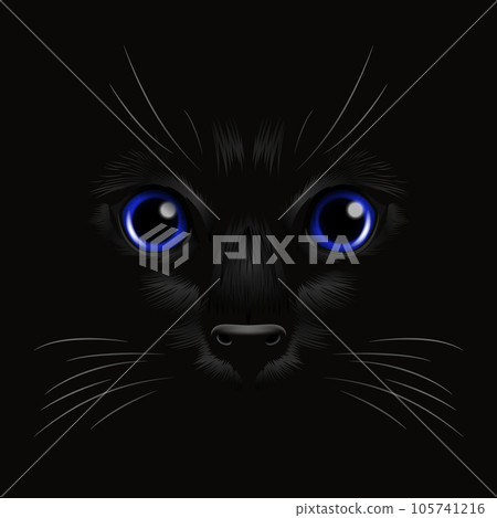 Vector 3d Realistic Blue Cats Eye of a Black Cat in the Dark, at Night. Cat Face with Yes, Nose, Whiskers on Black. Cat Closeup Look in the Darkness. Front View 105741216