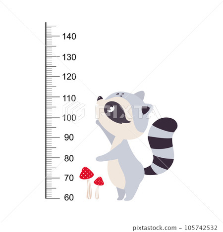 Growth Ruler with Cute Raccoon Animal at Kids Height Meter Vector Illustration Growth Ruler with Cute Raccoon Animal at Kids Height Meter Vector Illustration 105742532