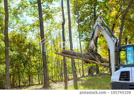 During landscaping work: tractor skid steer clears trees during construction for housing complex 105743109