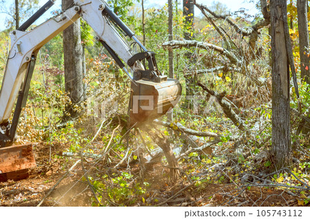 Clearing land from Remove Roots for Housing Complex Construction using Skid Steer Tractor Clearing land from Remove Roots for Housing Complex Construction using Skid Steer Tractor 105743112