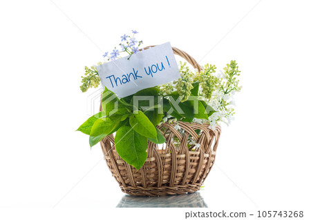 bouquet of white lilacs with a thank you card bouquet of white lilacs with a thank you card 105743268