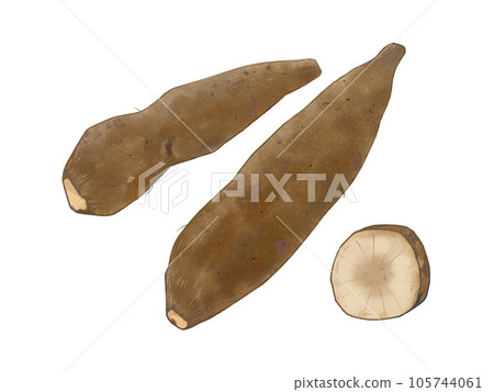 雪蓮果秋季蔬菜 雪蓮果秋季蔬菜 105744061