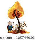 Vector image of an older man doing landscaping and seasonal cleaning of foliage. EPS 10 105744080