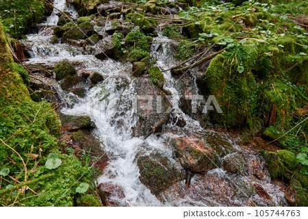 Mountain river water flow in green Alps forest. River stream waterfall in forest landscape. Scenic view of rocky mountains covered with snow located near hooker river flowing through rocks on sunny 105744763