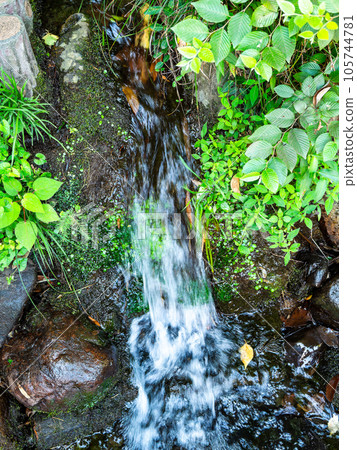A small waterfall flowing from pure spring water A small waterfall flowing from pure spring water 105744781