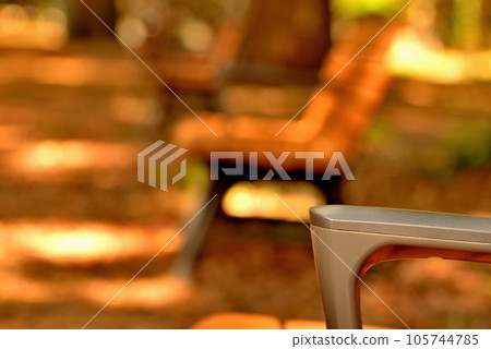 東京代代木公園，長凳的初秋風景，陽光透過樹林 105744785