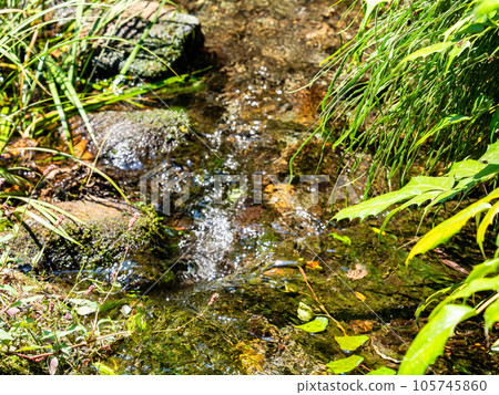 Refreshing scenery in summer A pure stream flowing from a spring Refreshing scenery in summer A pure stream flowing from a spring 105745860
