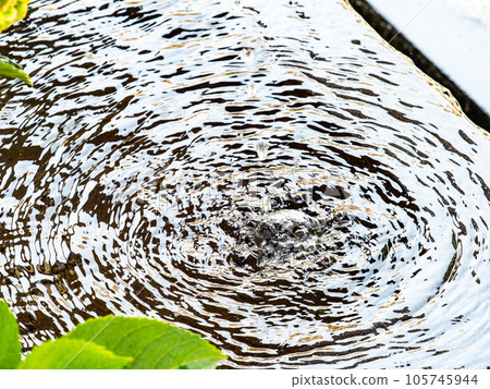 Background material Cool scenery of summer Refreshing water droplets that create ripples in a water bowl 105745944