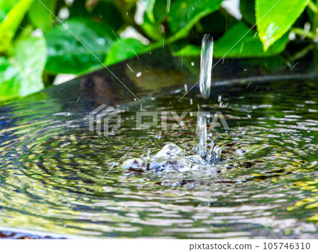 Background material Cool scenery of summer Refreshing water droplets that create ripples in a water bowl 105746310