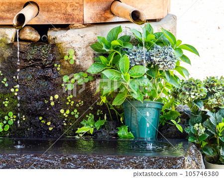 Background material Cool scenery of summer Refreshing water droplets that create ripples in a water bowl Background material Cool scenery of summer Refreshing water droplets that create ripples in a water bowl 105746380