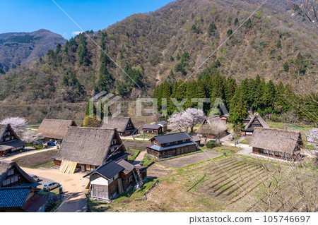 富山縣五箇山市菅沼合掌村春天的櫻花 105746697