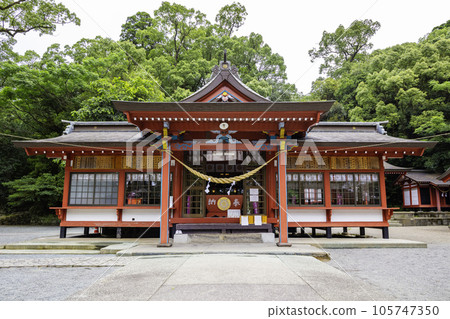 擁有日本第一高樹的蒲茂八幡神社（鹿兒島縣姫良市） 105747350