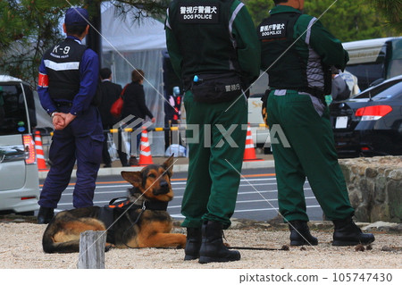 警視廳警犬和訓練員(等待) 警視廳警犬和訓練員(等待) 105747430