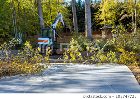 There is fallen uprooted trees after storm hurricane near home in street had to be cleaned up raised with a tractor There is fallen uprooted trees after storm hurricane near home in street had to be cleaned up raised with a tractor 105747723