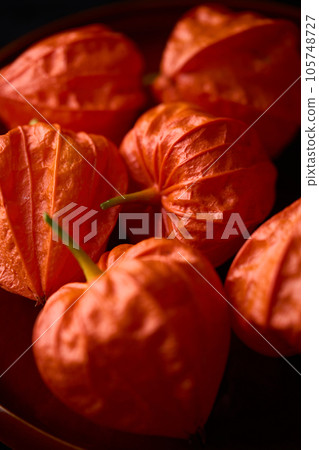 地面櫻桃 105748727