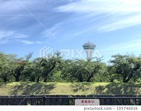 Goryokaku Tower 105748816