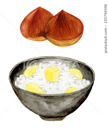 手繪水彩美味板栗米和板栗插畫 105749306
