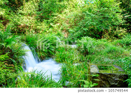 Ikeyama water source in summer Ubuyama Village, Kumamoto Prefecture 105749544