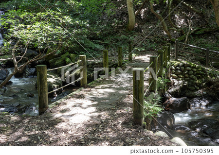Bridge at Nanatsu Falls, seven waterfalls in Ishikawa, Japan. 105750395