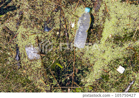 Trash in harbour water, Kanaiwa, Japan. Trash in harbour water, Kanaiwa, Japan. 105750427