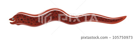 Moray eel character. Isolated cartoon vector serpentine predatory animal found in tropical oceans. With its elongated body, sharp teeth and excellent camouflage, it is a formidable underwater predator 105750973