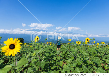 向日葵田和孩子們 105751158