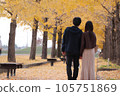 couple playing in autumn park 105751869