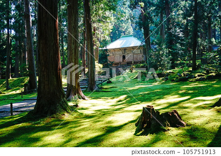 Hiraizumiji Hakusan Shrine Haiden Fresh Green Early Summer Hiraizumiji Hakusan Shrine Haiden Fresh Green Early Summer 105751913