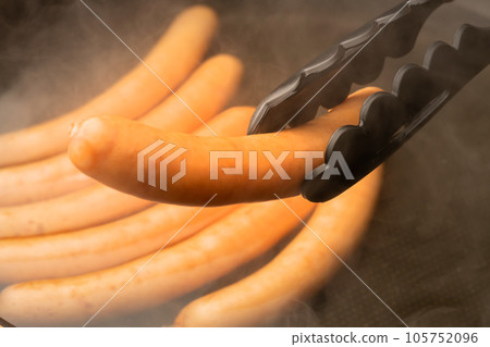 sausage sausage 105752096