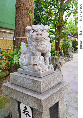Komainu at Ichogaoka Hachiman Shrine (Taito Ward, Tokyo) 105752409