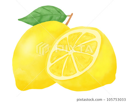 檸檬葉和切檸檬的水彩插圖 檸檬葉和切檸檬的水彩插圖 105753033