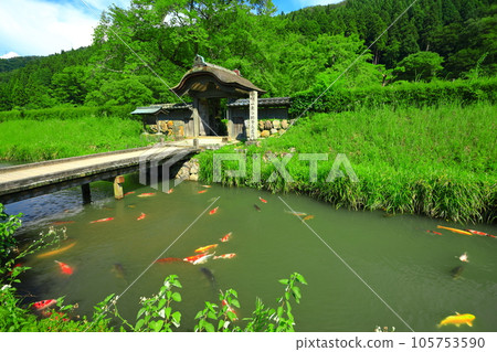 [Fukui Prefecture] Ichijodani Asakura clan ruins in fine weather (Asakura residence ruins) 105753590