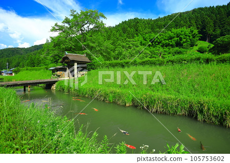 [Fukui Prefecture] Ichijodani Asakura clan ruins in fine weather (Asakura residence ruins) 105753602