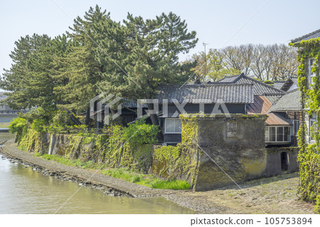 A building overgrown with ivy and an old dock 105753894