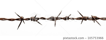 A barbed wire isolated on white background A barbed wire isolated on white background 105753966