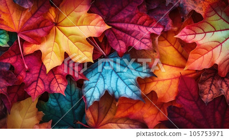 Background from colorful autumn maple leaves 105753971